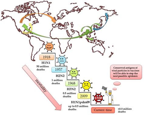 New Advances and Perspectives of Influenza Prevention: Current State of the Art
