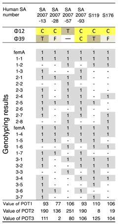Bacteriophage ΦSA012 Has a Broad Host Range against Staphylococcus ...