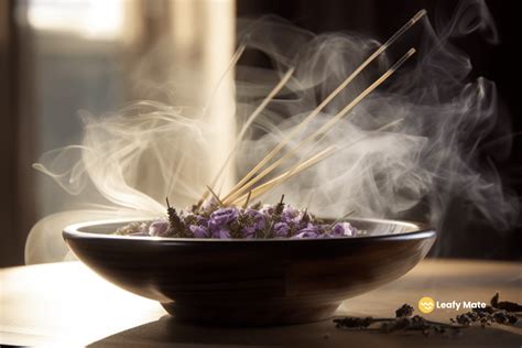 The Ultimate Guide: Best Incense to Mask Marijuana Smells | Leafy Mate