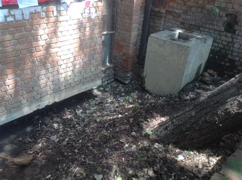 Safai Abhiyan by Central Library Officers and Staffs | Jawaharlal Nehru ...