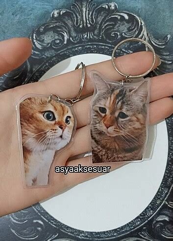 Sevilen Kediler Plastik Anahtarlıklar Ön Yüzleri Resimlidir Kalı Diğer ...