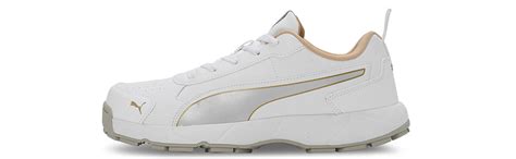 Buy Puma Mens Cricket Classicat Metallic Gold-Silver-White-Team Gold ...