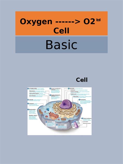 Image result for AO2 O2 Cell Uses