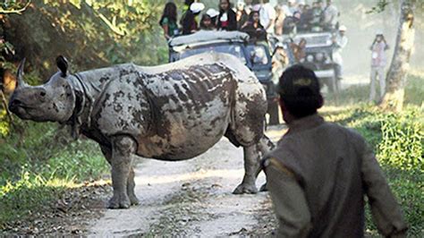 Rhino Poaching in Kaziranga National Park in Assam II UPSC