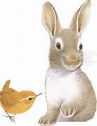 Image result for Baby Rabbit Art