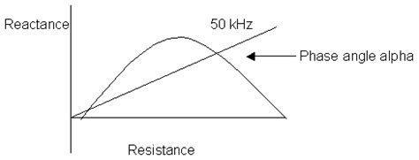 Image result for Phase Angle