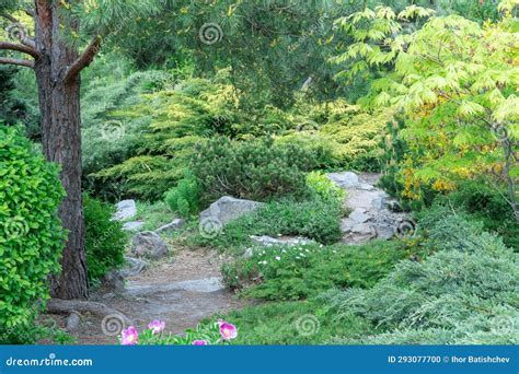 Image result for Natural Stone Path