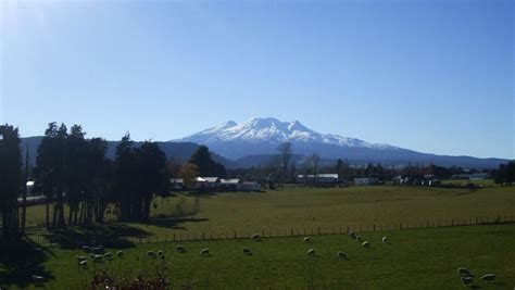 The Field House - Ohakune Holiday Home | Accommodation in Ruapehu, New ...