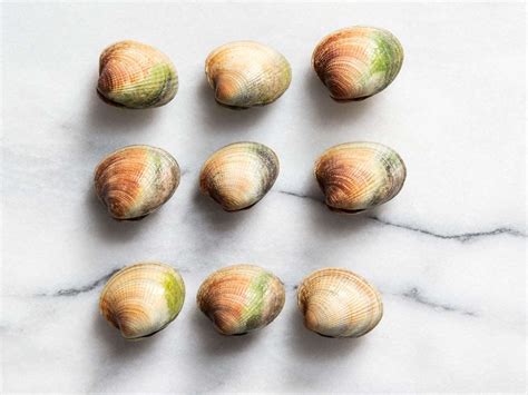 Are Cockles Same As Clams at Katina Woods blog