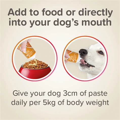 Beaphar Duo Active Paste Multi Vitamin for Dogs - 100g | Zigly
