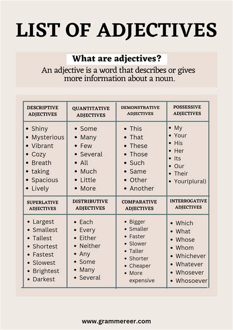 Types of Adjectives with Examples in English - Grammareer
