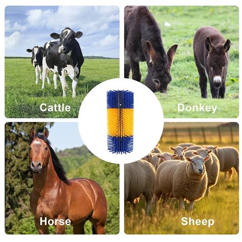 JUNJIAHAOZHU 2PCS Livestock Scratching Brush, Cow, Horse, Goat, India ...