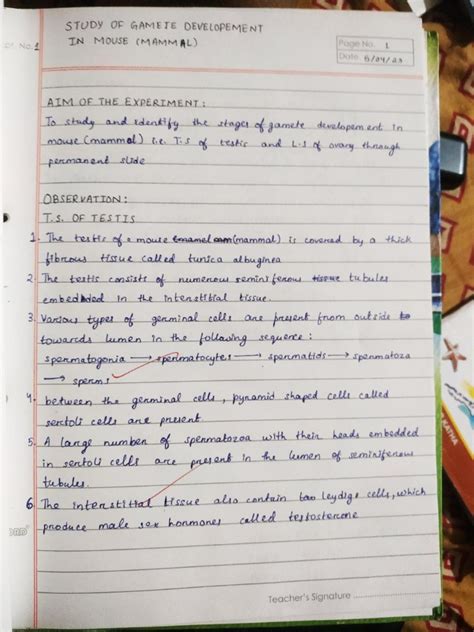 Image result for Bioinformatics Practical