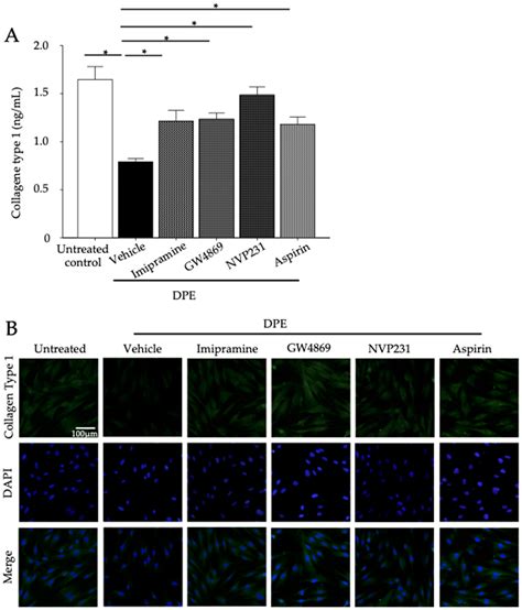 Diesel Particulate Extract Accelerates Premature Skin Aging in Human ...