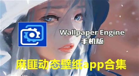 wallpaperengine离线版安卓下载-wallpaperengine离线版手机版(壁纸引擎)v2.3.0 最新版本-007游戏网