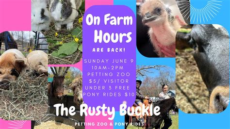 Open Farm Day, 138 Tourtellot Hill rd , Glocester, RI, United States ...