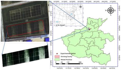 Inversion of Crop Water Content Using Multispectral Data and Machine ...
