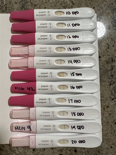 Update: chemical pregnancy 10-20 dpo with betas : r/TFABLinePorn