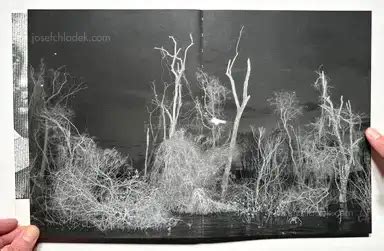 Tommaso Protti - Terra Vermelha, Void, 2023, Athens, book/photobook ...