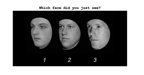 Image result for Face Blind Test