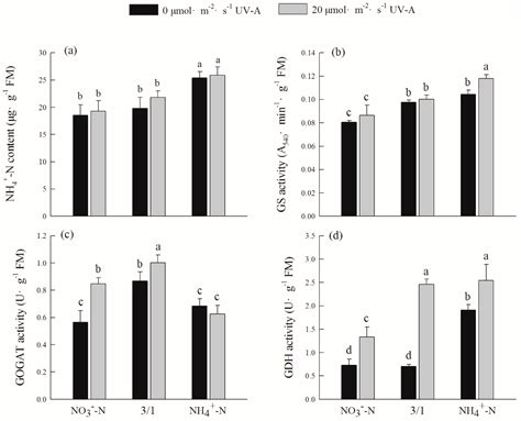 Appropriate Nitrogen form Ratio and UV-A Supplementation Increased ...