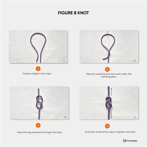 Types of Knots: 25+ Essential Knots Everyone Should Learn