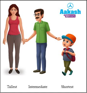 Polygenic Inheritance: Characteristics, Examples, Practice Problems and ...