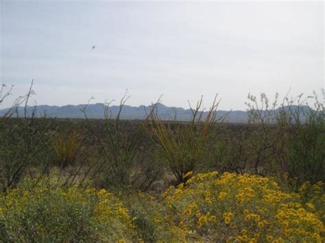 THE BEST Places to Visit in Amado (2025) - Must-See Attractions