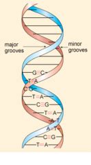 Image result for DNA Microarray Device