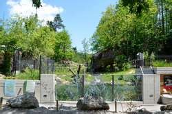 ZooLex Exhibit - European Otter