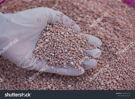 224 Sac Engrais Npk Images, Stock Photos & Vectors | Shutterstock