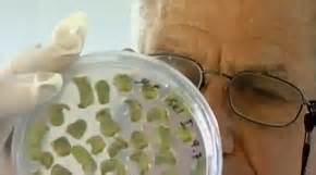 Israel Modern Technology 的图像结果