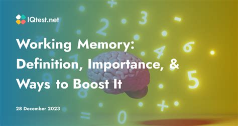 Image result for Working Memory Explained