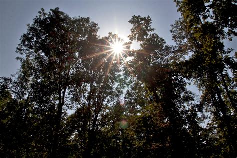 Green Charter - Greenpeace India