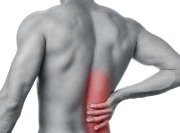 Lower Back Muscle Spasm 的图像结果