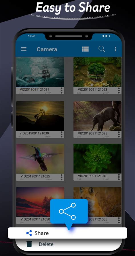 Image result for MP4 File Format Player