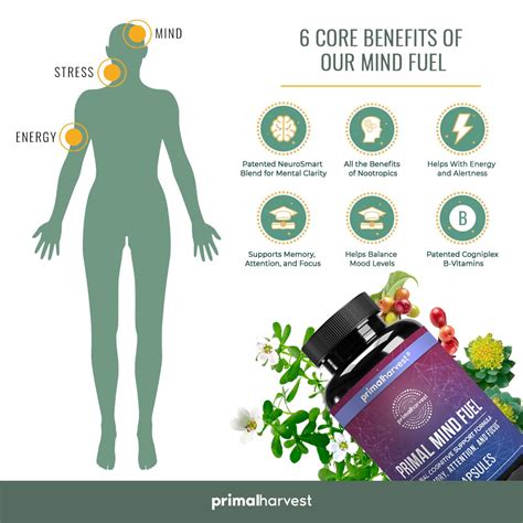 Primal Mind Fuel Reviews: 2026's Genius Energy Surge!🧠🌟 - Pixoneye
