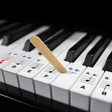 PalaP Extra Large Piano Removable Sticker Labels for Large Key ...