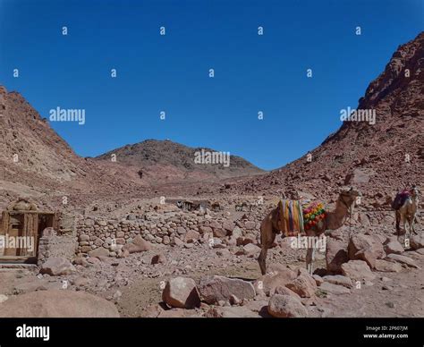Mount Sinai on the Sinai peninsula in Egypt, known to be the place ...