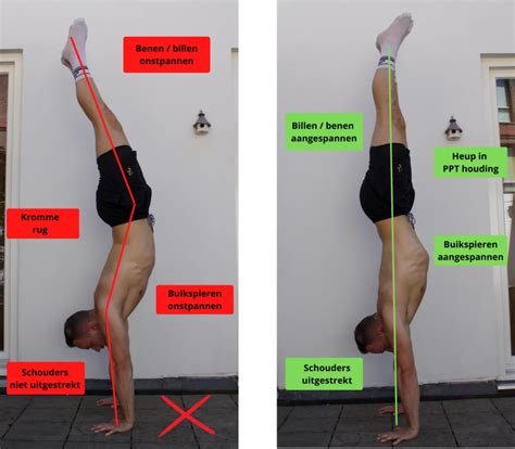 Image result for Handstand Push-Up Muscles Worked