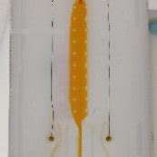 Image result for Buffer Flow