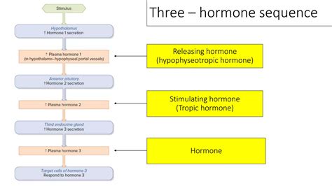 Physiology of hypothalamus | PPTX
