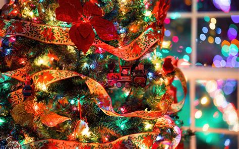 Download wallpaper 1680x1050 christmas tree, decorations, garlands ...