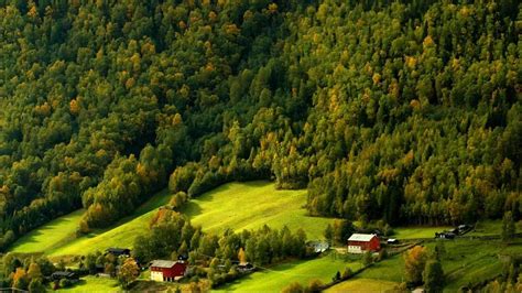 《挪威的森林》