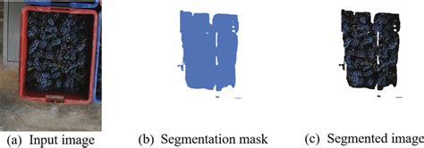 How to Add Image in Processing 的图像结果