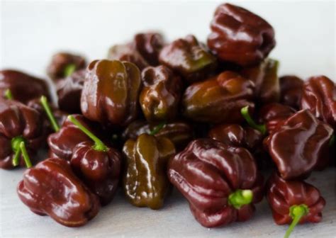 chocolate habanero hot sauce recipeDownload it from chocolate habanero ...