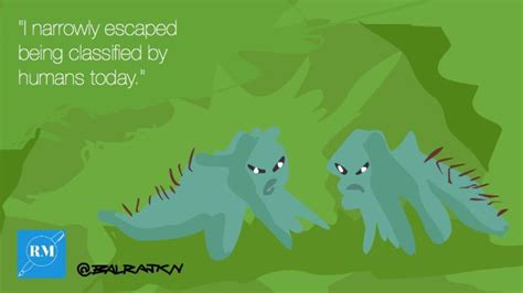 The science behind measuring biodiversity | Research Matters