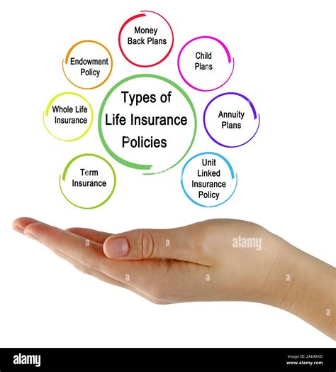 Different Types of Insurance 的图像结果