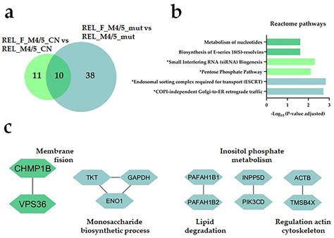 High Mitochondrial Protein Expression as a Potential Predictor of ...