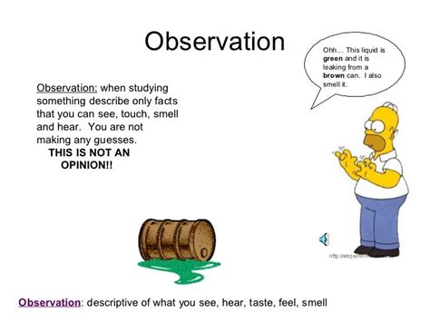 Inference Observation 的图像结果